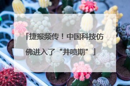 捷报频传！中国科技仿佛进入了“井喷期”