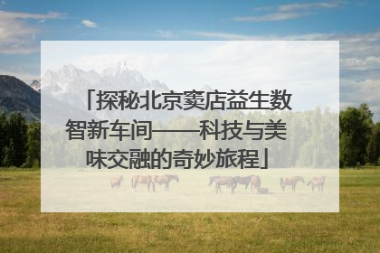 探秘北京窦店益生数智新车间——科技与美味交融的奇妙旅程