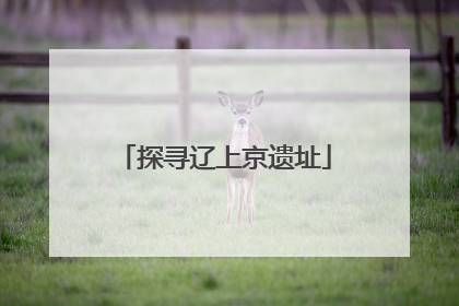 探寻辽上京遗址