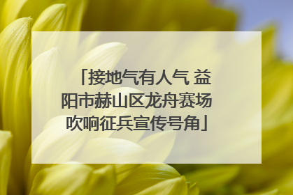 接地气有人气 益阳市赫山区龙舟赛场吹响征兵宣传号角