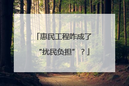 惠民工程咋成了“扰民负担”？