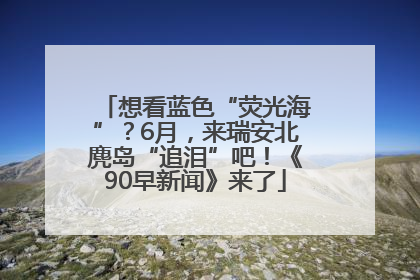 想看蓝色“荧光海”？6月，来瑞安北麂岛“追泪”吧！《90早新闻》来了