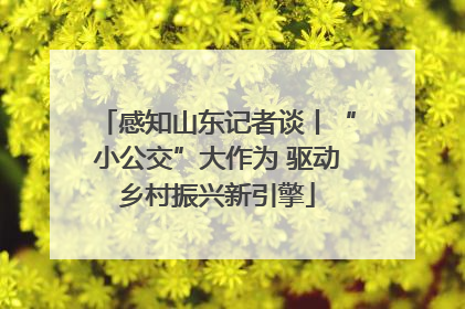 感知山东记者谈丨“小公交”大作为 驱动乡村振兴新引擎