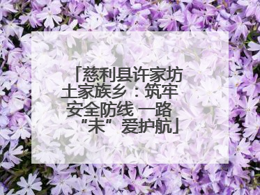慈利县许家坊土家族乡：筑牢安全防线 一路“未”爱护航