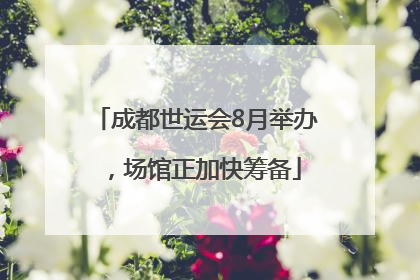 成都世运会8月举办，场馆正加快筹备