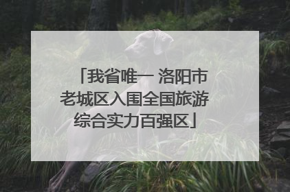 我省唯一 洛阳市老城区入围全国旅游综合实力百强区
