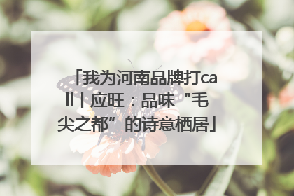 我为河南品牌打call丨应旺：品味“毛尖之都”的诗意栖居
