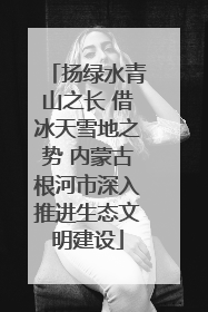 扬绿水青山之长 借冰天雪地之势 内蒙古根河市深入推进生态文明建设