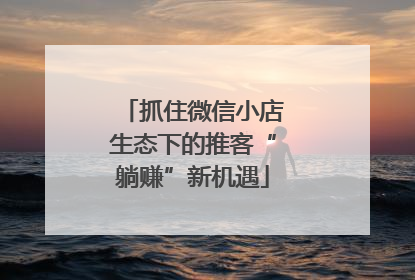 抓住微信小店生态下的推客“躺赚”新机遇