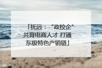 抚远：“政校企”共育电商人才 打通东极特色产销链