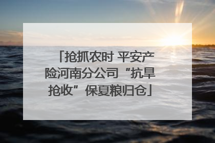 抢抓农时 平安产险河南分公司“抗旱抢收”保夏粮归仓