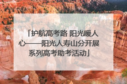 护航高考路 阳光暖人心——阳光人寿山分开展系列高考助考活动