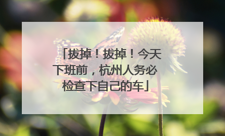 拔掉！拔掉！今天下班前，杭州人务必检查下自己的车