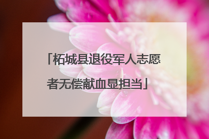 柘城县退役军人志愿者无偿献血显担当