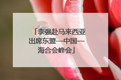 李强赴马来西亚出席东盟—中国—海合会峰会