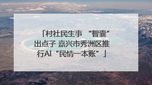 村社民生事 “智囊”出点子 嘉兴市秀洲区推行AI“民情一本账”