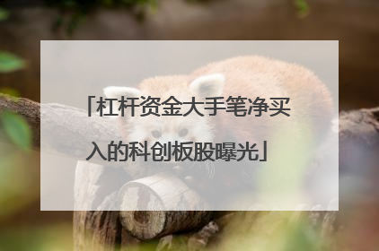杠杆资金大手笔净买入的科创板股曝光
