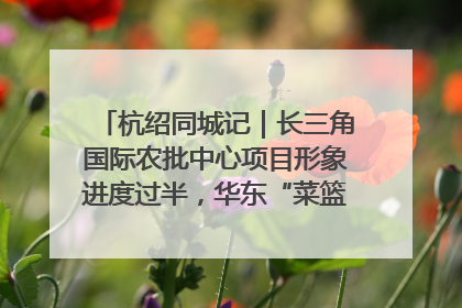 杭绍同城记｜长三角国际农批中心项目形象进度过半，华东“菜篮子”建设加码提速！