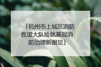 杭州市上城区消防救援大队绘就基层消防治理新图景