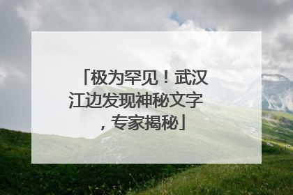 极为罕见！武汉江边发现神秘文字，专家揭秘