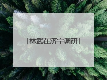 林武在济宁调研