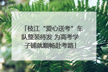 枝江“爱心送考”车队整装待发 为高考学子铺就顺畅赴考路