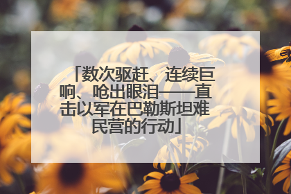 数次驱赶、连续巨响、呛出眼泪——直击以军在巴勒斯坦难民营的行动