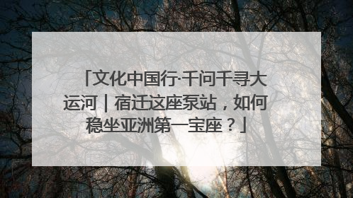 文化中国行·千问千寻大运河｜宿迁这座泵站，如何稳坐亚洲第一宝座？