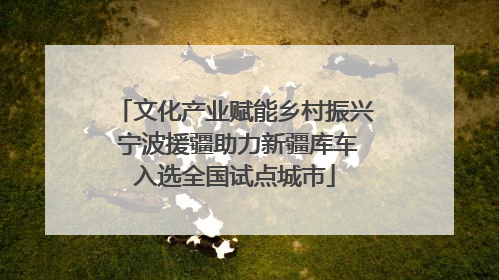 文化产业赋能乡村振兴 宁波援疆助力新疆库车入选全国试点城市
