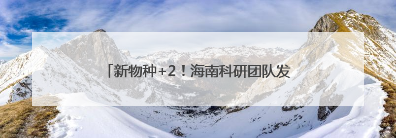 新物种+2！海南科研团队发现素贞灵芝和自然保护地壁虎