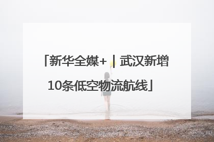 新华全媒+｜武汉新增10条低空物流航线