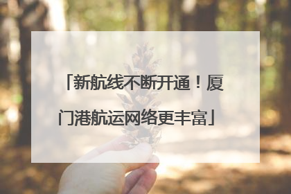 新航线不断开通！厦门港航运网络更丰富