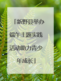 新野县举办端午主题实践活动助力青少年成长