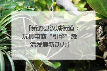 新野县汉城街道：玩具电商“引擎”激活发展新动力