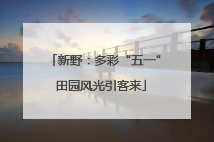 新野：多彩“五一” 田园风光引客来