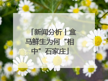 新闻分析丨盒马鲜生为何“相中”石家庄