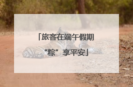 旅客在端午假期“粽”享平安