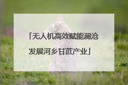 无人机高效赋能澜沧发展河乡甘蔗产业