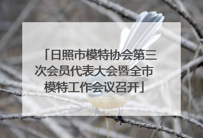 日照市模特协会第三次会员代表大会暨全市模特工作会议召开