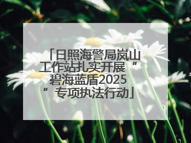 日照海警局岚山工作站扎实开展“碧海蓝盾2025”专项执法行动