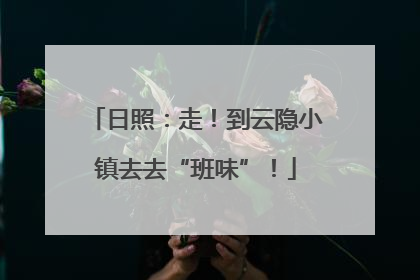 日照：走！到云隐小镇去去“班味”！