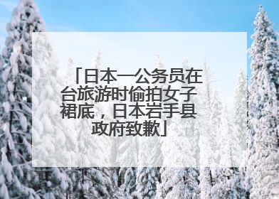 日本一公务员在台旅游时偷拍女子裙底，日本岩手县政府致歉