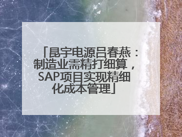 昆宇电源吕春燕：制造业需精打细算，SAP项目实现精细化成本管理