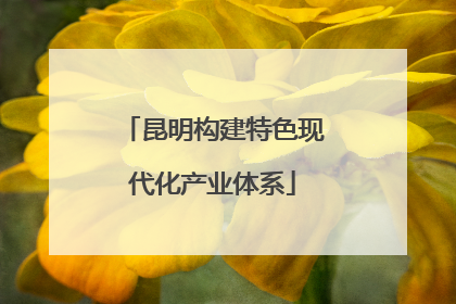 昆明构建特色现代化产业体系