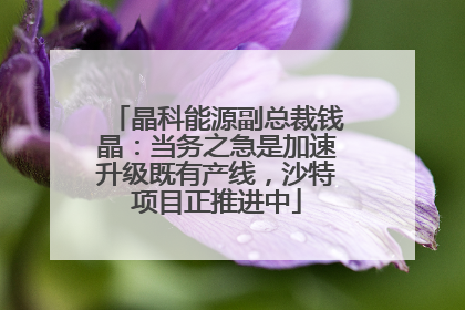 晶科能源副总裁钱晶：当务之急是加速升级既有产线，沙特项目正推进中