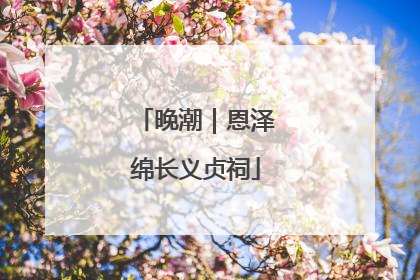 晚潮｜恩泽绵长义贞祠
