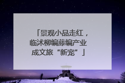 景观小品走红，临沭柳编藤编产业成文旅“新宠”