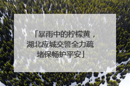 暴雨中的柠檬黄，湖北应城交警全力疏堵保畅护平安