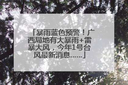 暴雨蓝色预警！广西局地有大暴雨+雷暴大风，今年1号台风最新消息……