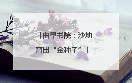 曲阜书院：沙地育出“金种子”